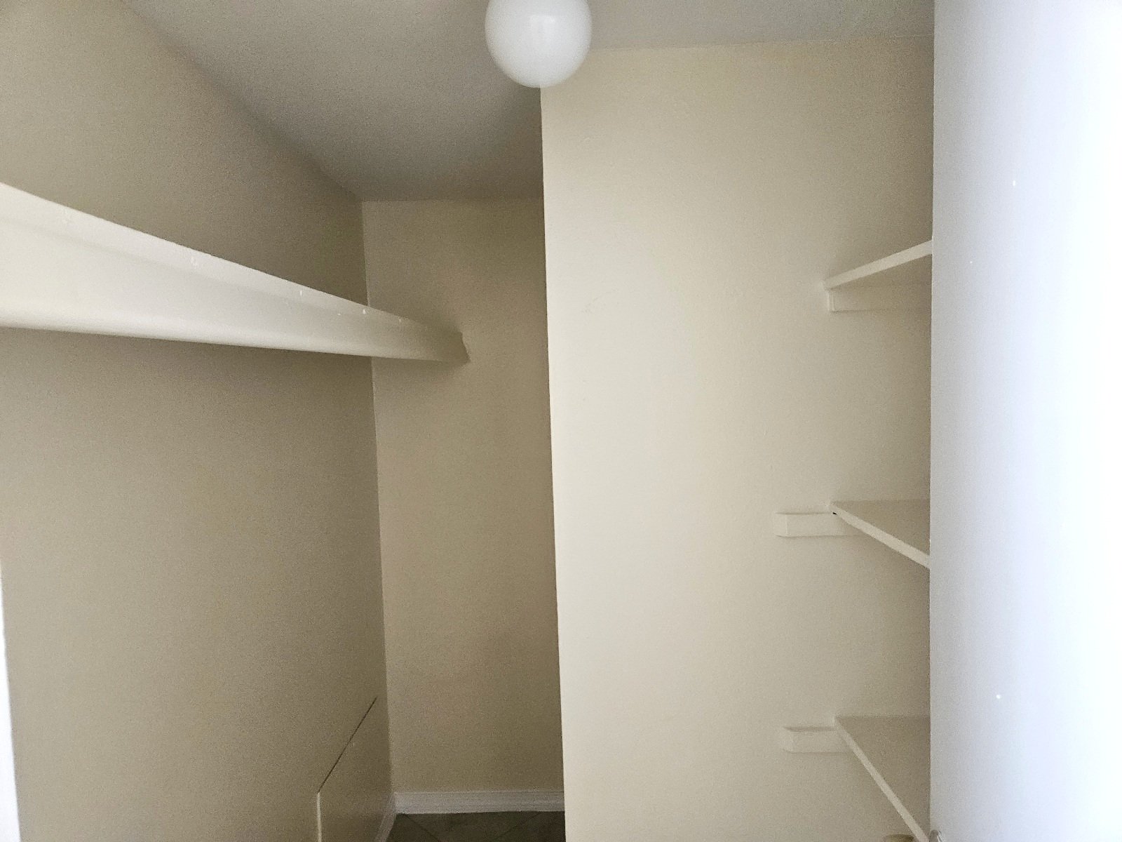 CENTRAL: 1 BR, 1 BA  APARTMENT NEAR UTEP AND HOSPITALS! property image